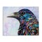 Stupell Industries Stay Curious Crow Canvas, design by Lisa Morales